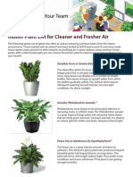 plants for office