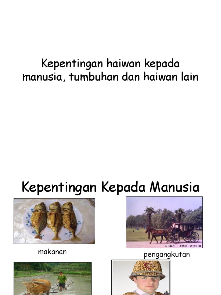 Kepentingan Tumbuhan Kepada Haiwan - nerveploaty