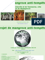 Projet de Mangrove Anti-tempete