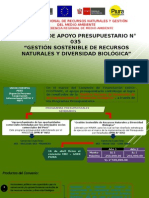 EXPOSICIÓN GOB LOCALES.pptx