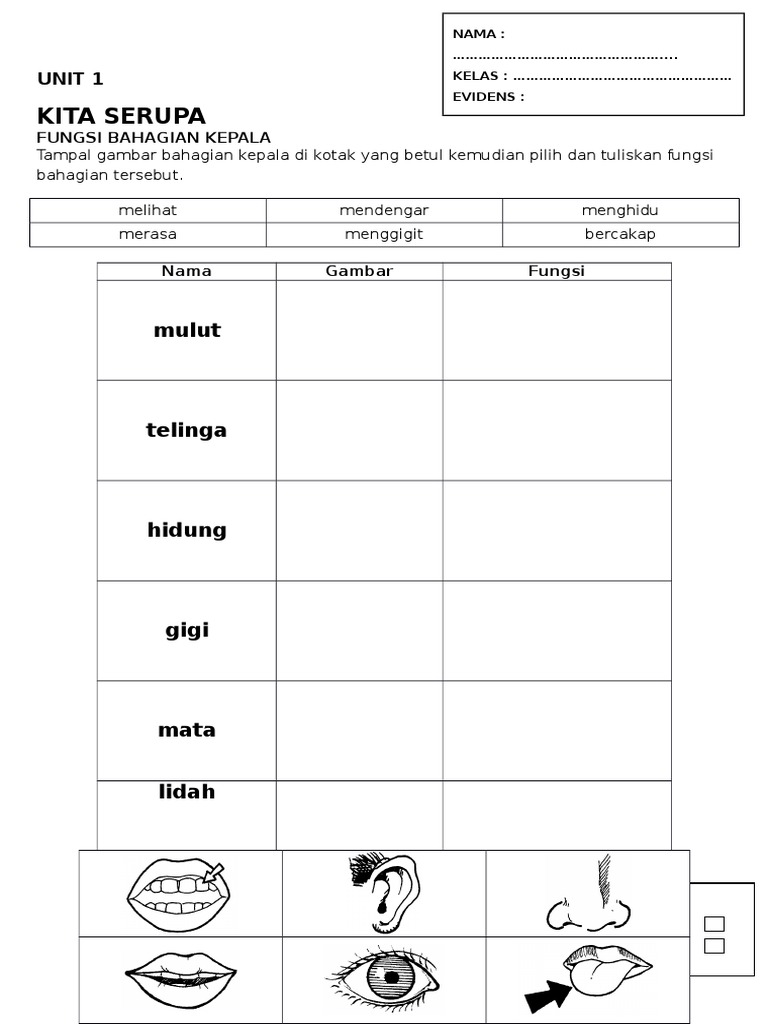 FUNGSI ANGGOTA KEPALA