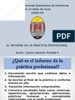 Informe de Practica Profesional Mejorado