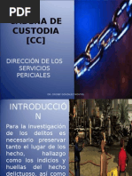 Cadena de Custodia