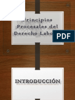 Exposicion Principios Procesales PDF