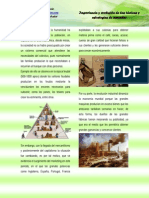Evolucion e Importancia Del Marketing PDF