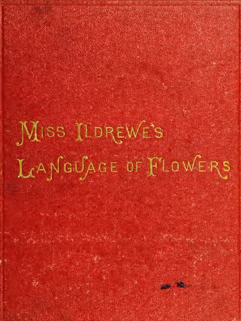 Language of Flowers PDF Tulip Thyme