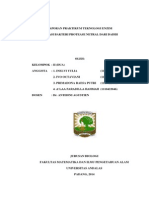 Download Bakteri Penghasil Enzim Protease Netral Pada Dadih by Alaa Faradilla Rahmah SN262192504 doc pdf