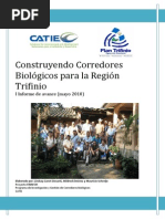 Informe Corredores Trifinio