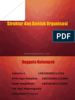 Struktur Dan Bentuk Organisasi