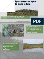 AGUA PALMA.pdf