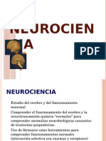 NEUROANATOMIA.pptx