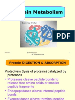 Metabolisme Senyawa N