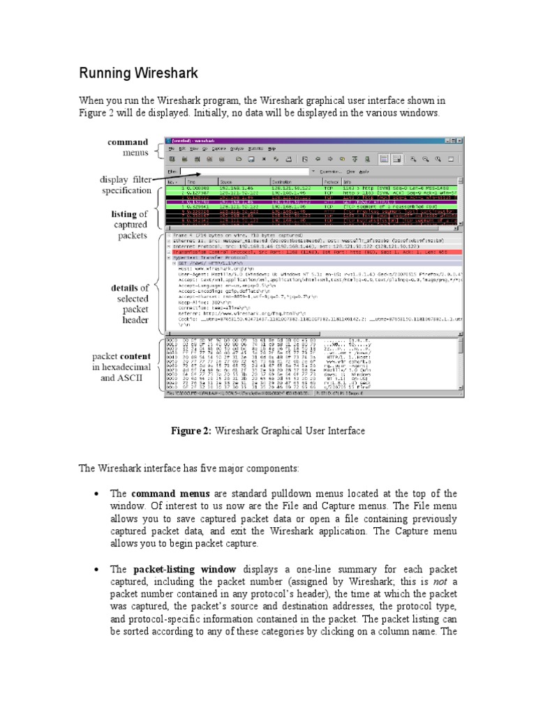 Wireshark Interface Overview Guide | PDF