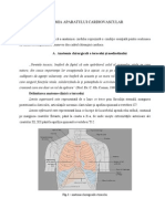 124811546-anatomie.pdf