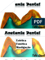 Anatomia Dental