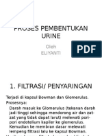 PROSES PEMBENTUKAN URINE