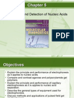 Resolution and Detection of Nucleic Acids