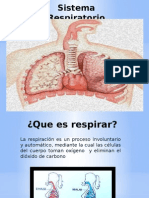 Sistema Respiratorio 1