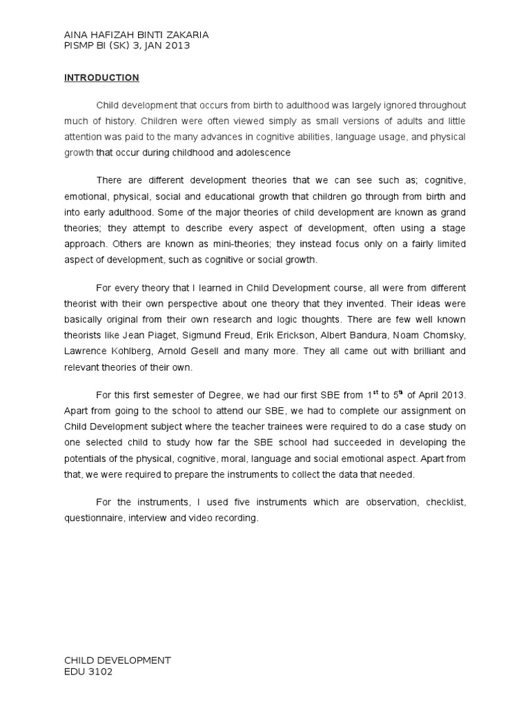 Child development essay conclusion image