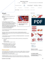 Sângele - Anatomie Si Fiziologie