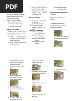 Download Leaflet Cuci Tangan 6 Langkah 5 Momen by Erwan Trisnanto SN262271241 doc pdf