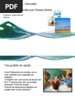 Turmas Mistas - Um Projeto