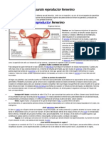 Aparato Reproductor Femenino