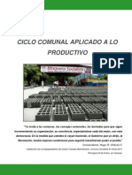 Ciclo Comunal Aplicado a Lo Productivo