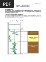 Registro o Perfilaje de Pozos