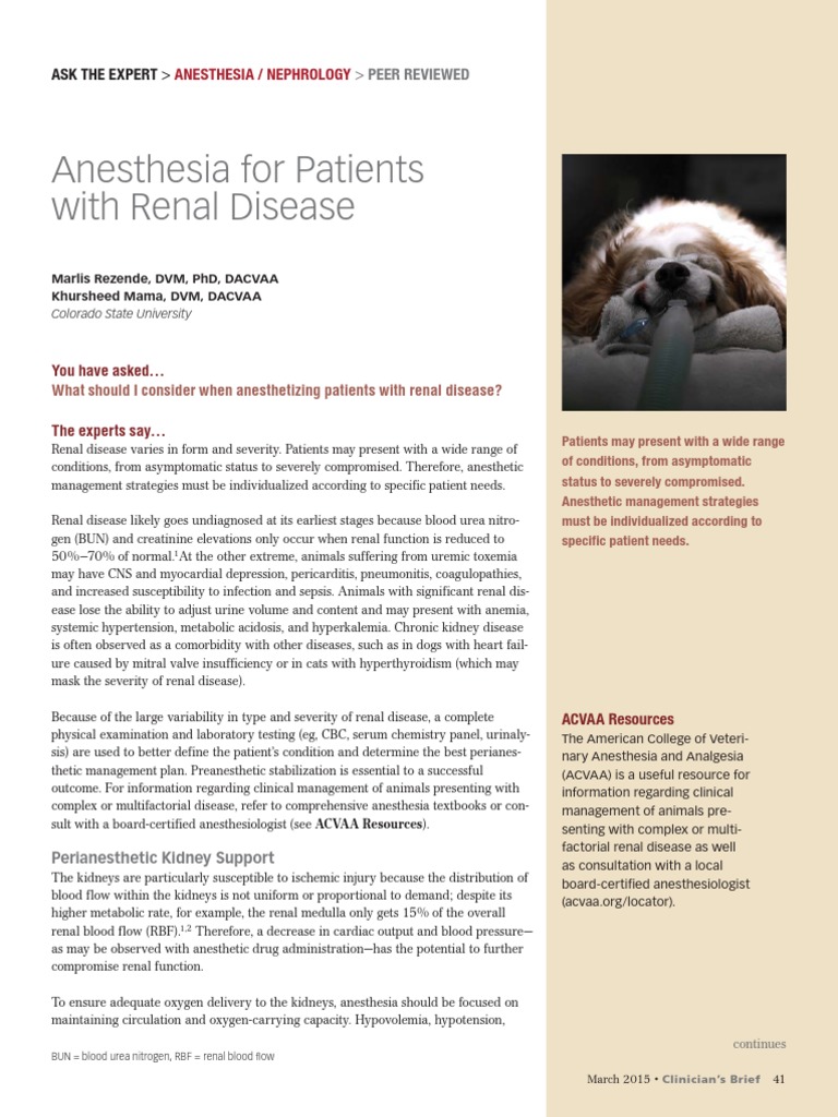 Anesthesia Management for Renal Disease | PDF | Anesthesia | Kidney