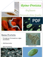 Reino Protista: Protozoários e Algas Unicelulares