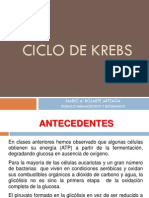 Ciclo de Krebs