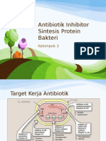 ANTIBIOTIK INHIBITOR SINTESIS PROTEIN