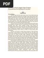 Download Fermentasi Buah Anggur Segar Dengan Pemanfaatan Saccharomyces Cerevisae by Yudhi Pratama SN262321788 doc pdf