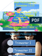 Kebutuhan Psikologi Ibu Hamil Trimester I, II, III