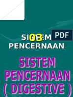 Sistem Pencernaan