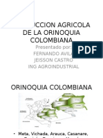 Produccion Agricola de La Orinoquia Colombiana