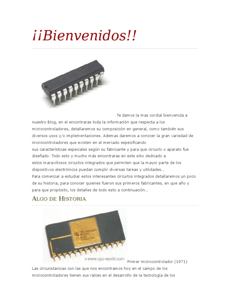 Arquitectura Microcontroladores