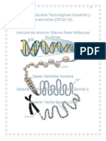Genética Humana -Trabajo académico-