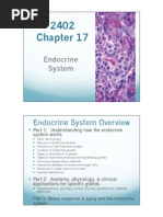 2402 Ch 17 Endocrine System Part 1 Pdf Pdf Endocrine System Hormone