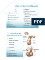 2402 CH 17 Endocrine System (Part 2) PDF