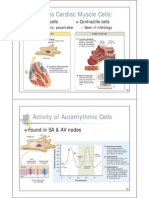 2402 CH 19 Cardiovascular System (Part 2) PDF