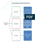 Mapa Factores Ambientales Del Autismo