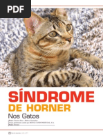 Sindrome_de_Horner_nos_gatos.pdf