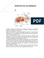 Sistema Digestivo de Los Animales