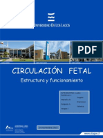 Circulacion Fetal 