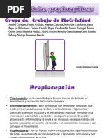 Download propioceptivo ACTIVIDADES by Katherine Morales SN262397091 doc pdf