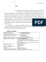 Western Blot