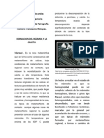 TAREA DE PETROGRAFIA - PDF 1 PDF