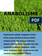 anabolisme